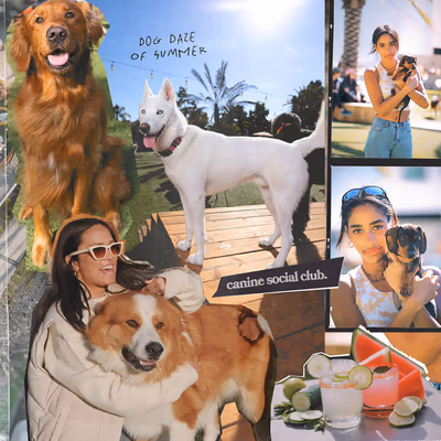 Best Friends Dog Park Club photo 1